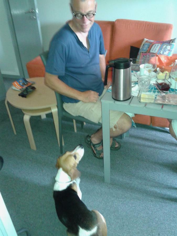Guest House Antero De Quental 포르투 외부 사진